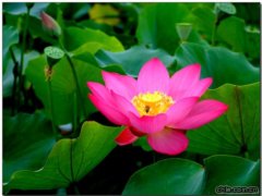 ϲӭ�����W�\ �ɻ������_��(�M�D)