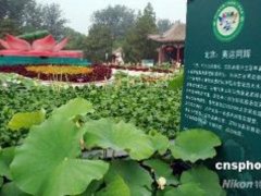 �A���@��(n��i)�ɻ��`�� ϲӭ�����W�\���D��