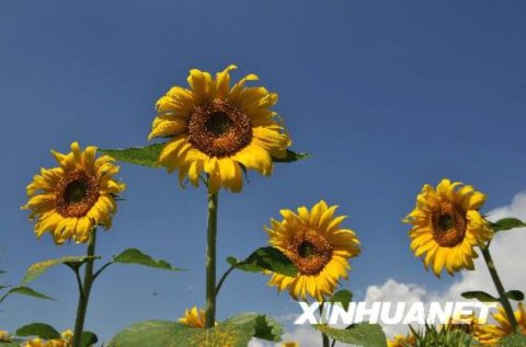 ��ꖻ��_���箋