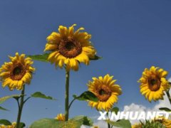 ��ꖻ��_���箋[�M�D]