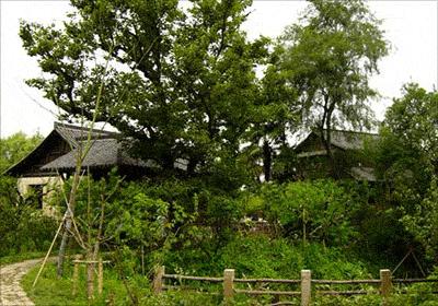 西溪濕地部分景點欣賞