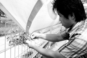 �����ˆT�ڽo���x��ϵ�M����