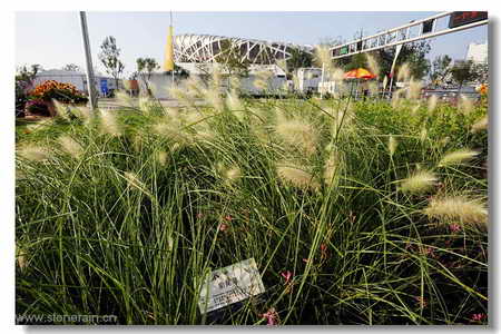 ���R�������B����