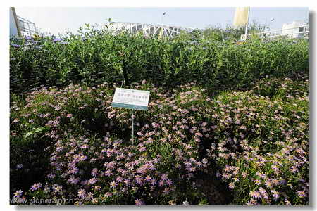 ���R�������B����