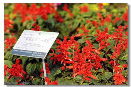 ���R�������B����