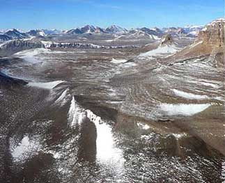 1400�f��ǰ��ֲ�ﻯʯ