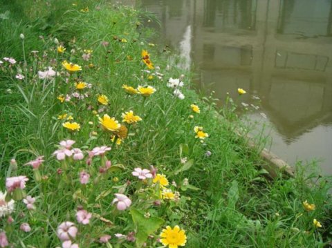 Ұ���M�����p