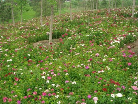 Ұ���M�����p