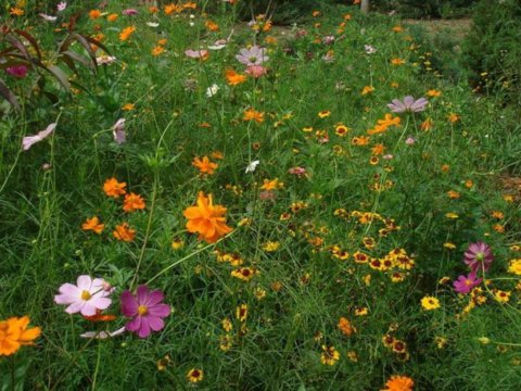 Ұ���M�����p