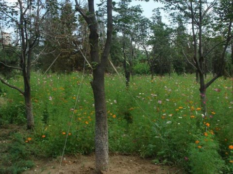 Ұ���M�����p