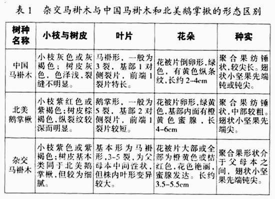 �Ї��R��ľ�������Z��鱼��s���R��ľ���ΑB(t��i)�^(q��)�e