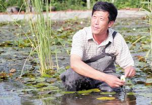 ���f��ˮ�ݰ�������ˮϵ