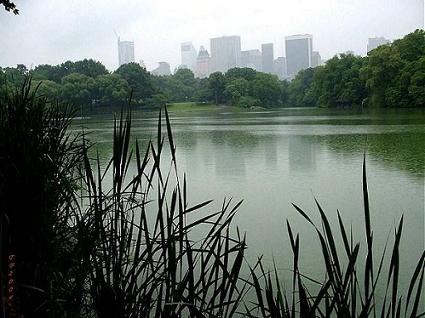 �~�s���빫�@