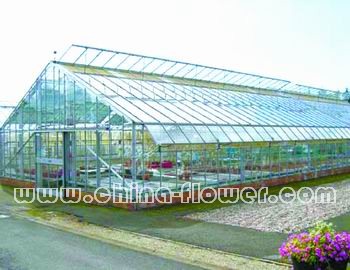 玻璃溫室自然通風口的設置