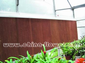 室中蒸發冷卻用的濕簾裝在進風口處