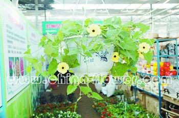 �����Kɺ��