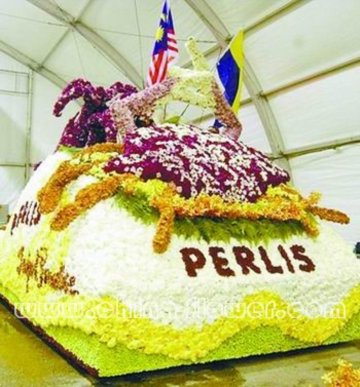 �R���������ܹ�