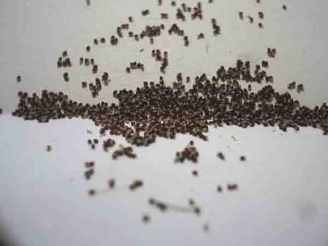 �ְ��ֽ��㲥�N