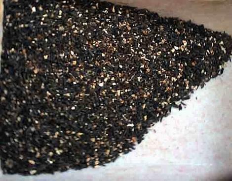 �ְ��ֽ��㲥�N