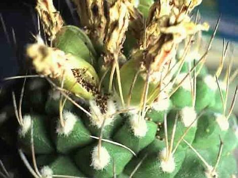 �ְ��ֽ��㲥�N