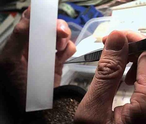 �ְ��ֽ��㲥�N