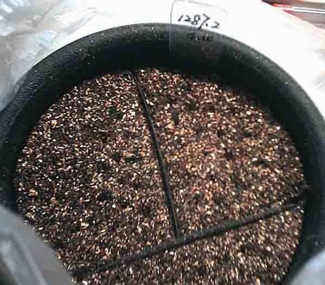 �ְ��ֽ��㲥�N