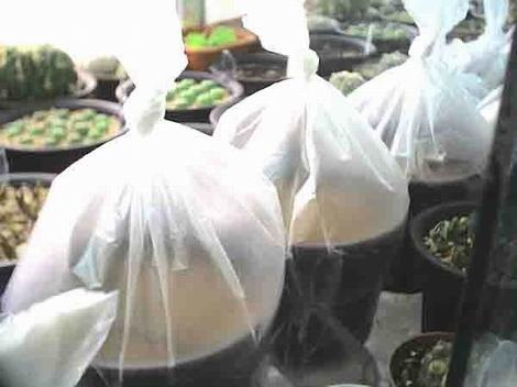 �ְ��ֽ��㲥�N