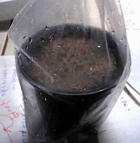 �ְ��ֽ��㲥�N