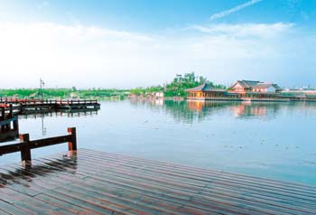 ����������(f��)�d���ʢ�� �������B(t��i)�����³�