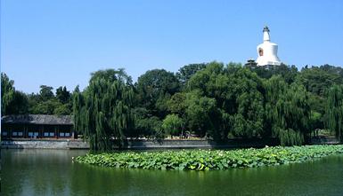 �������@