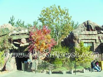 �����g���Ȉ@�־��^