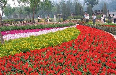 ���n�����W�\�Ļ��܌�һֱ��Ц�������c