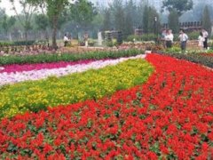 ���n�����W�\�Ļ��܌�һֱ��Ц�������c