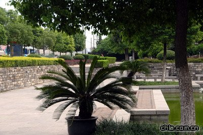 ˮ���T�V��