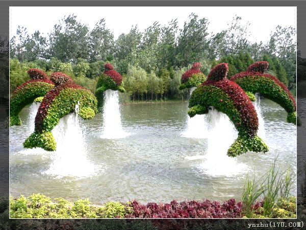 �����W��ƥ��ɭ�ֹ��@  ���@��ˇ�g