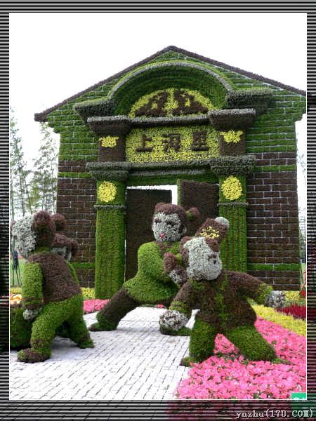 �����W��ƥ��ɭ�ֹ��@  ���@��ˇ�g