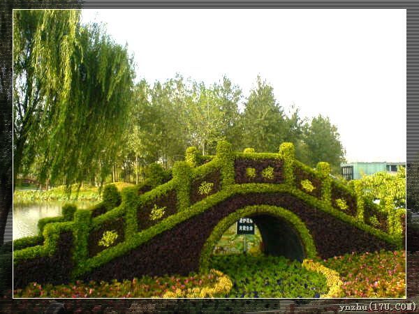 �����W��ƥ��ɭ�ֹ��@  ���@��ˇ�g(sh��)