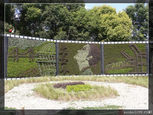 �����W��ƥ��ɭ�ֹ��@  ���@��ˇ�g(sh��)