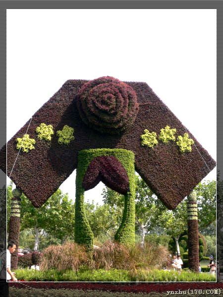 �����W��ƥ��ɭ�ֹ��@  ���@��ˇ�g