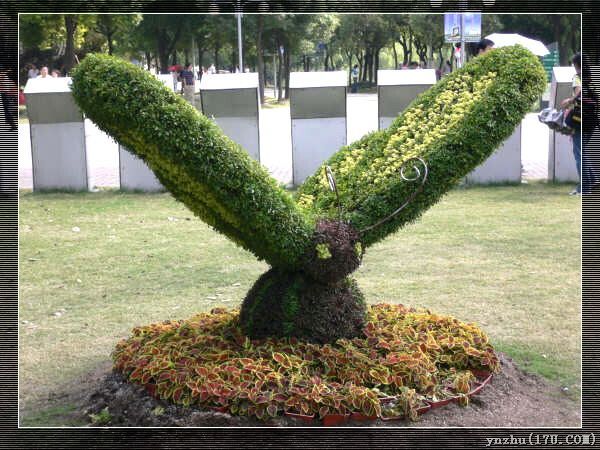 �����W��ƥ��ɭ�ֹ��@  ���@��ˇ�g