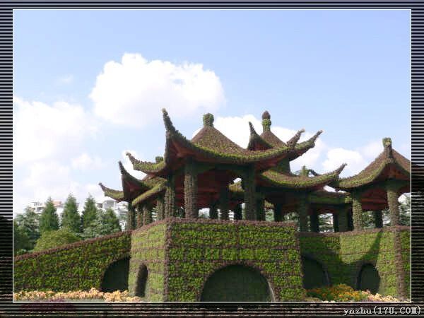 �����W��ƥ��ɭ�ֹ��@  ���@��ˇ�g