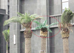 С�^�Ꭷ����ϡ��ٰl�ס�