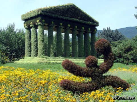 ����ֲ��@