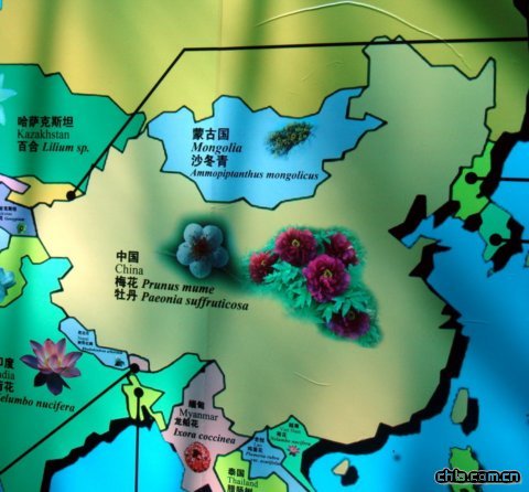 ����ֲ��@