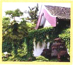 ���ⴰ������չ�ҵ�һ߅�ϳ���һС�g