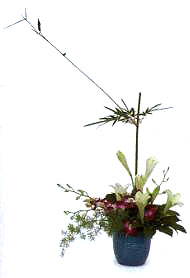 5����ǰ�ȵ��·��������T���ݡ�