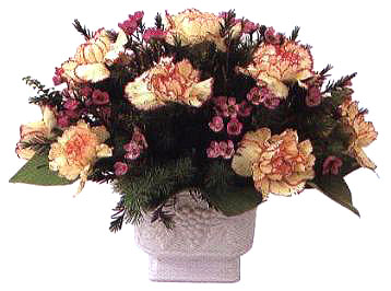 �ڻ��Ŀ�϶̎�������÷������϶��