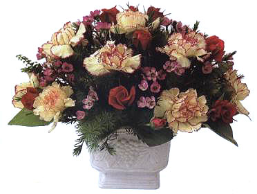 �����������¼����γ��S�M��A��������