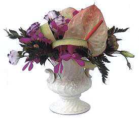 ���Ӵ��_��ʽ���͵����λ�