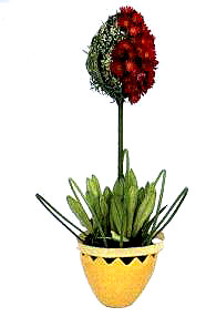 5  ��˺�õ������m���~�o������������еĻ��࣬�γ�5��������